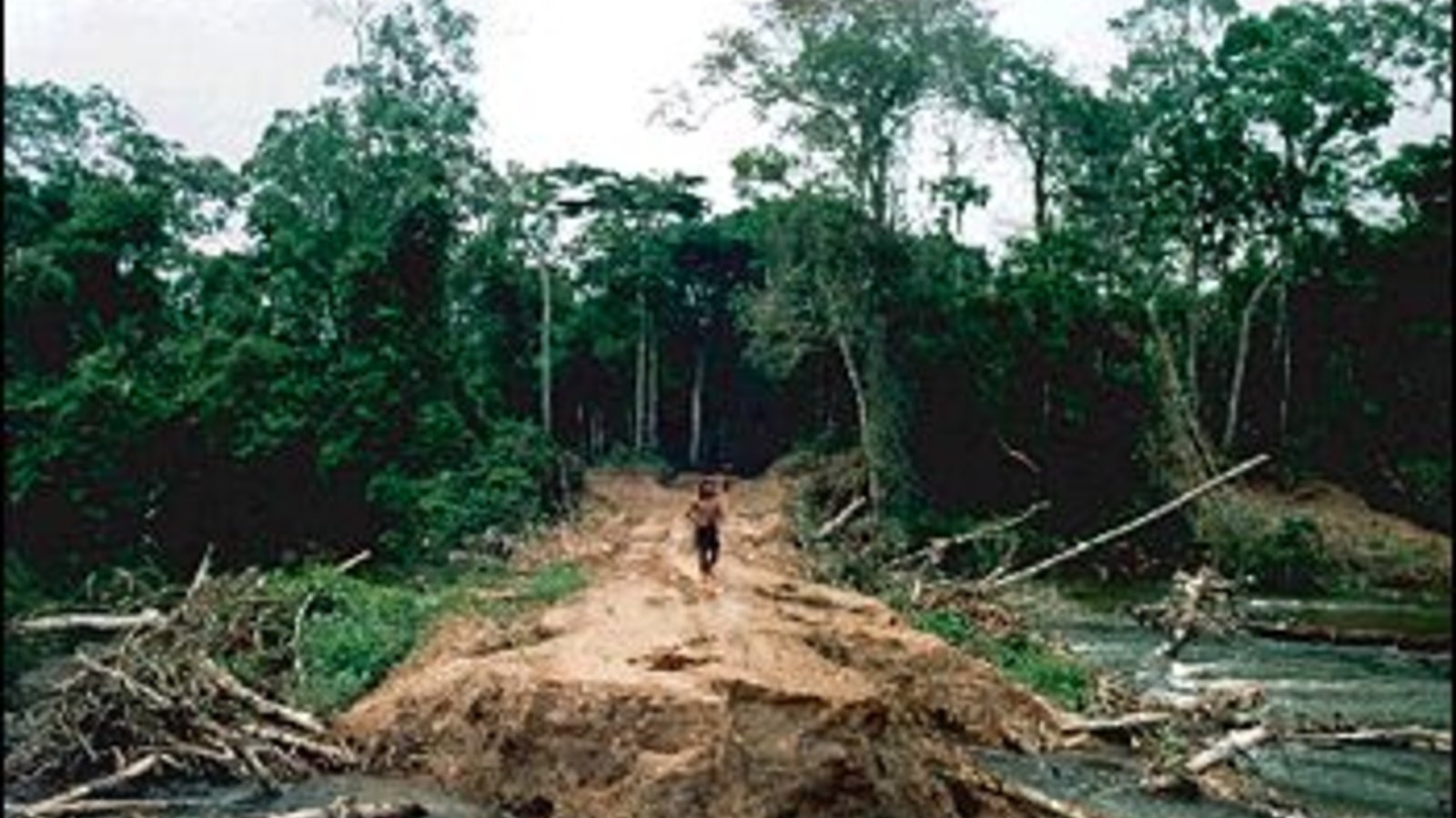 deforestationinbrazil_nasa_wc.jpg