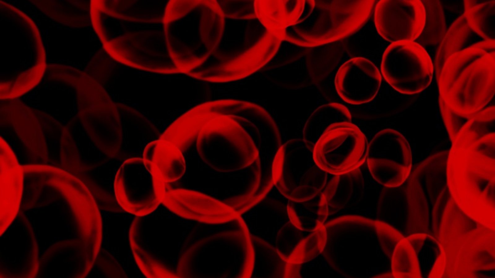 dt_cells.jpg