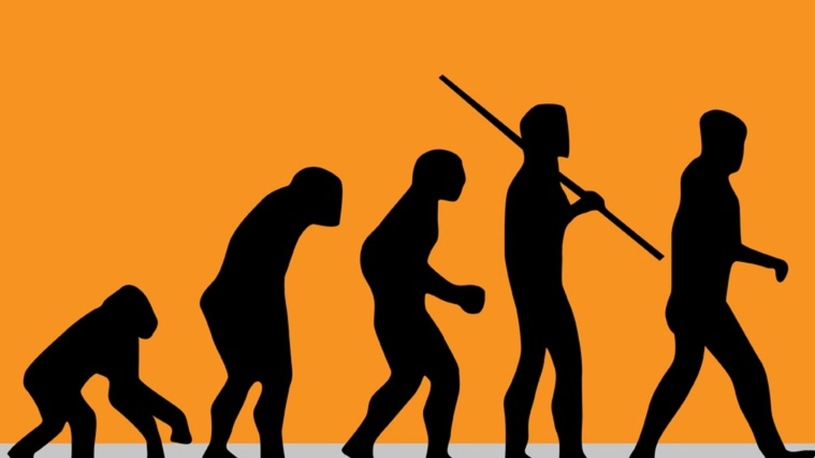 dt_homosapiens.jpg