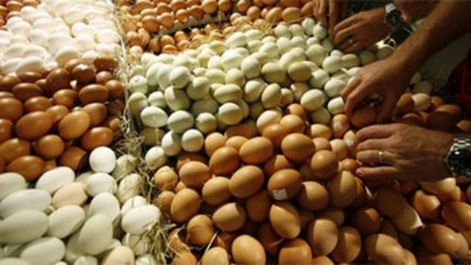eggs.jpg