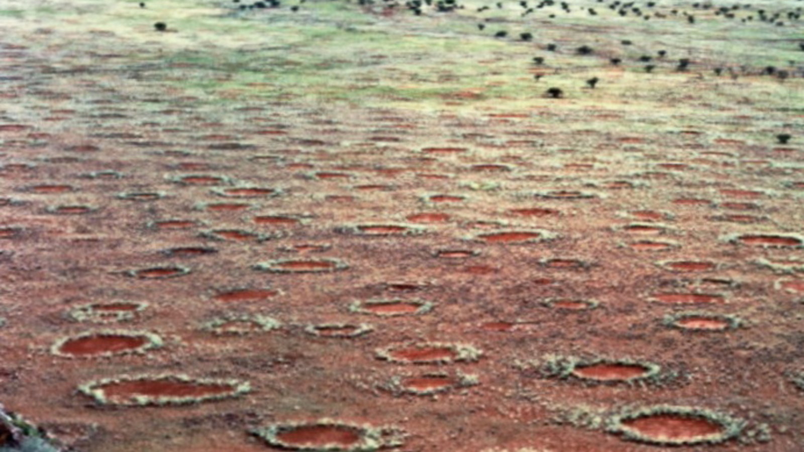 fairy_circles_namibia.jpg