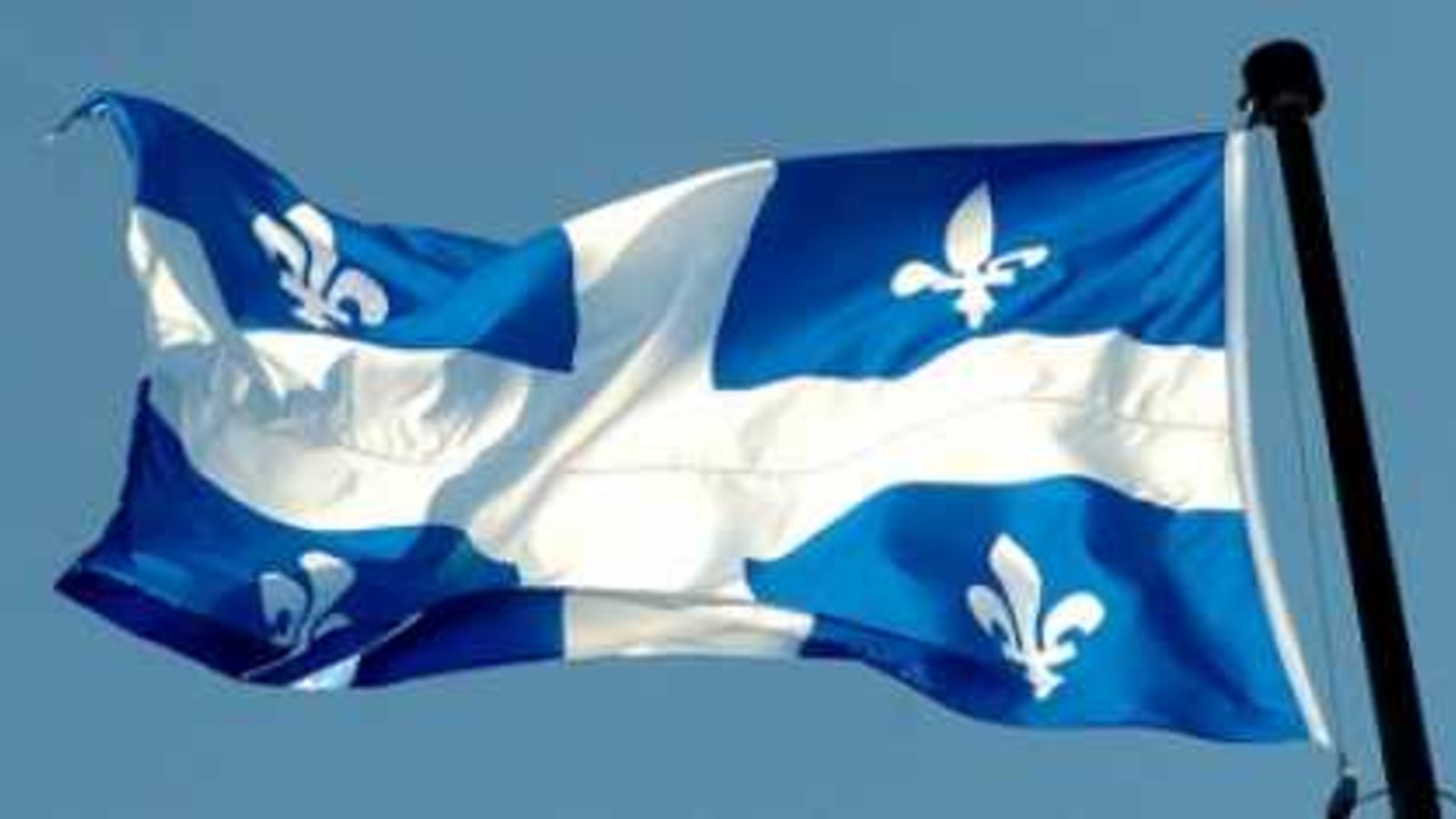 fleur_de_lys.jpg
