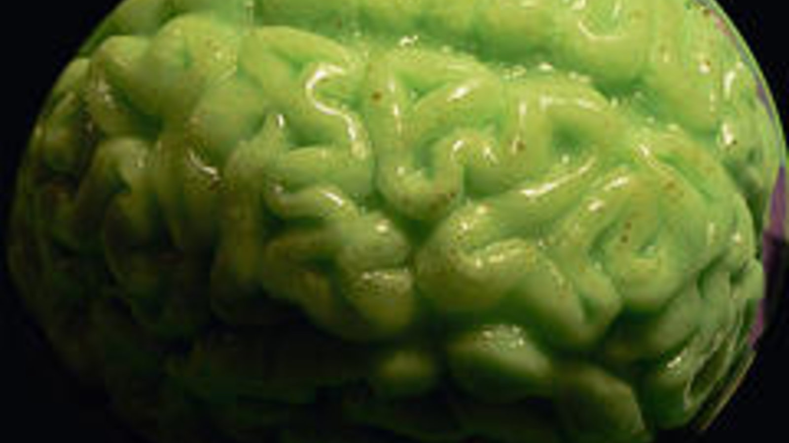 flickr_cerveau-jellolime.jpg