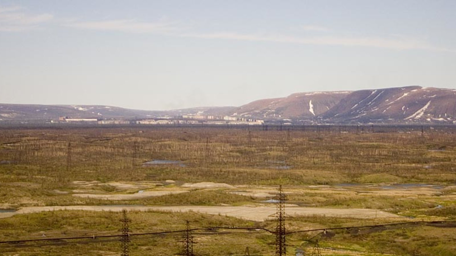 forest_tundra_russia_grain_wc.jpg