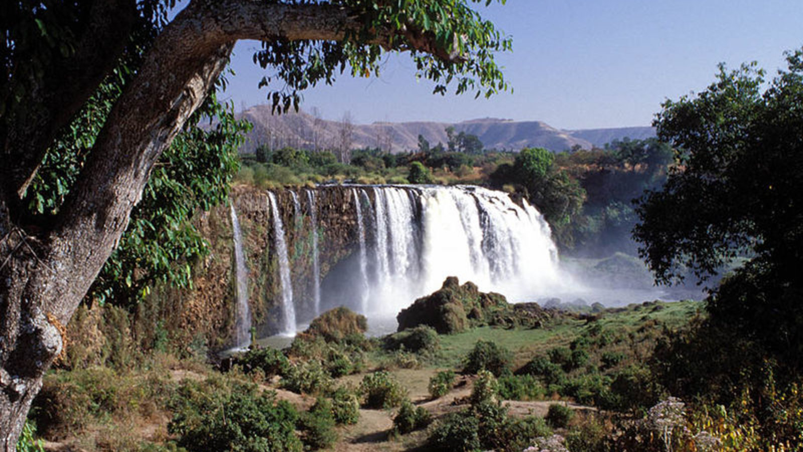foret_ethiopie.jpg