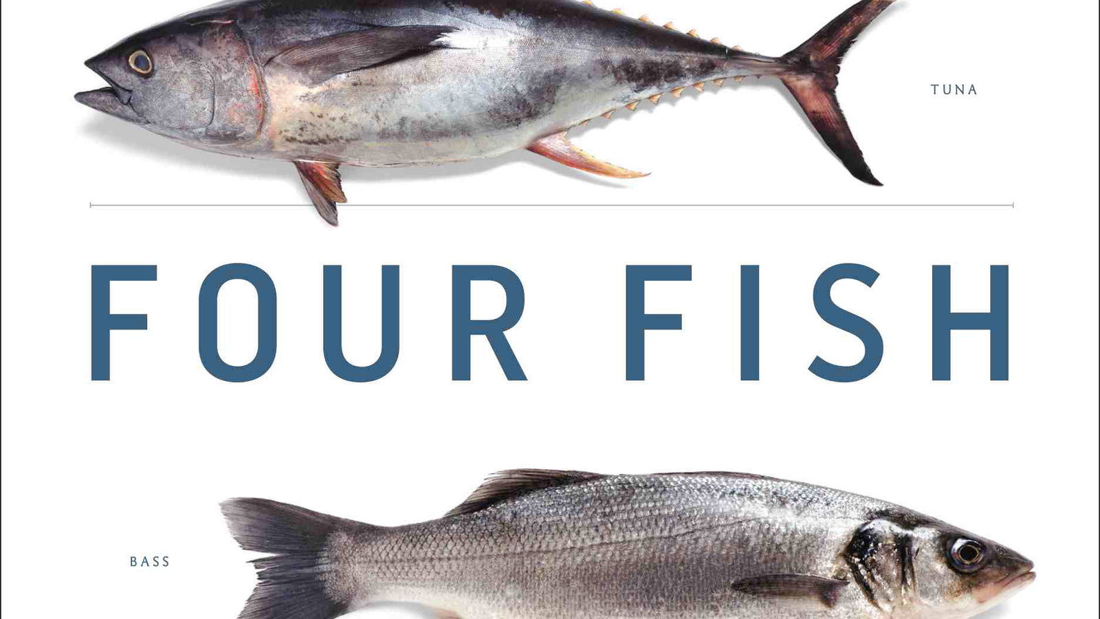 fourfishcover2.jpg
