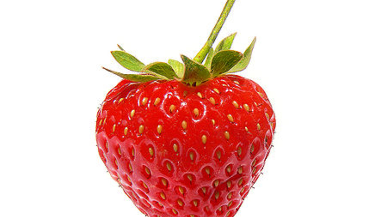 fraise_hiver.jpg