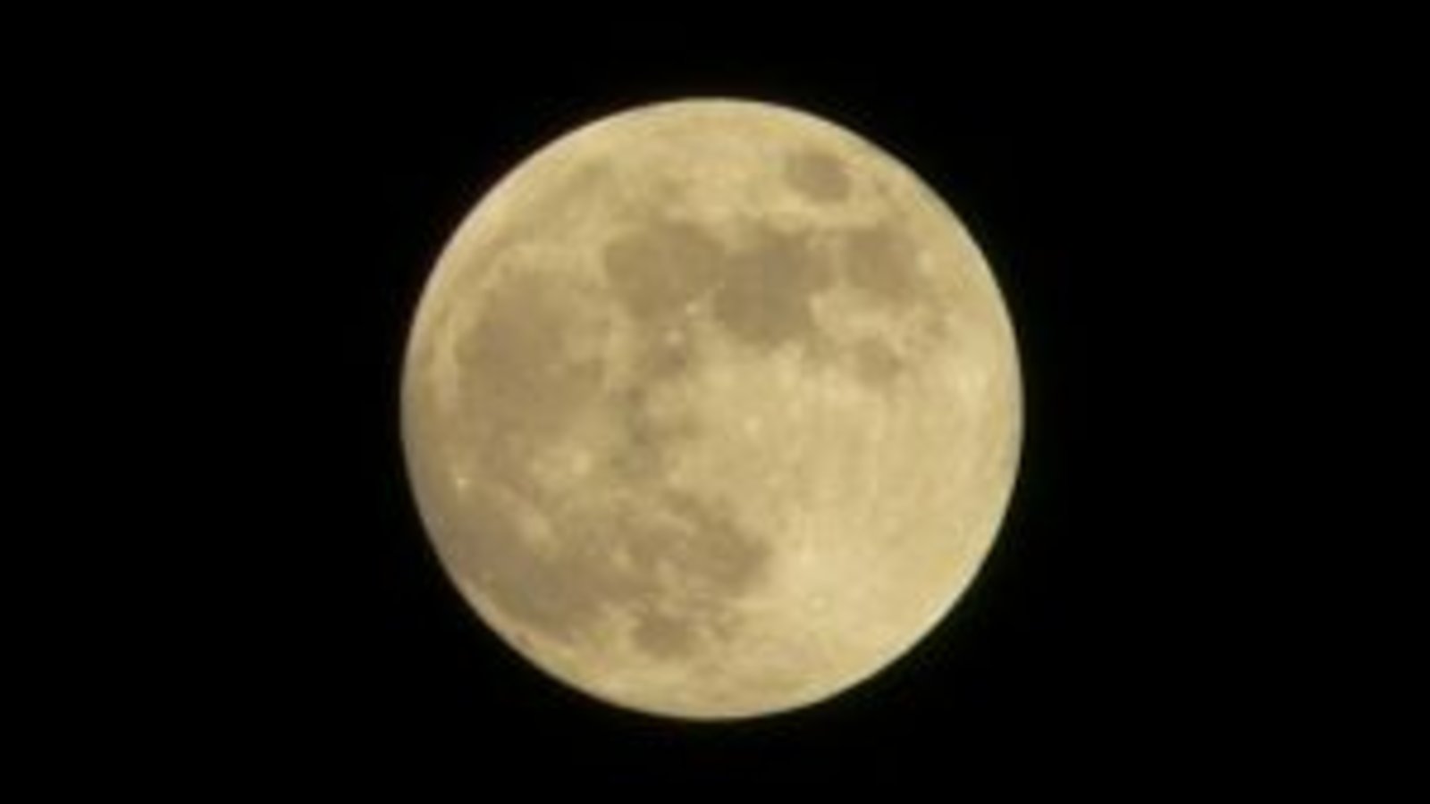 La Pleine Lune Favorise T Elle Les Grossesses Agence Science Presse La Pleine Lune Favorise T Elle Les Grossesses Agence Science Presse