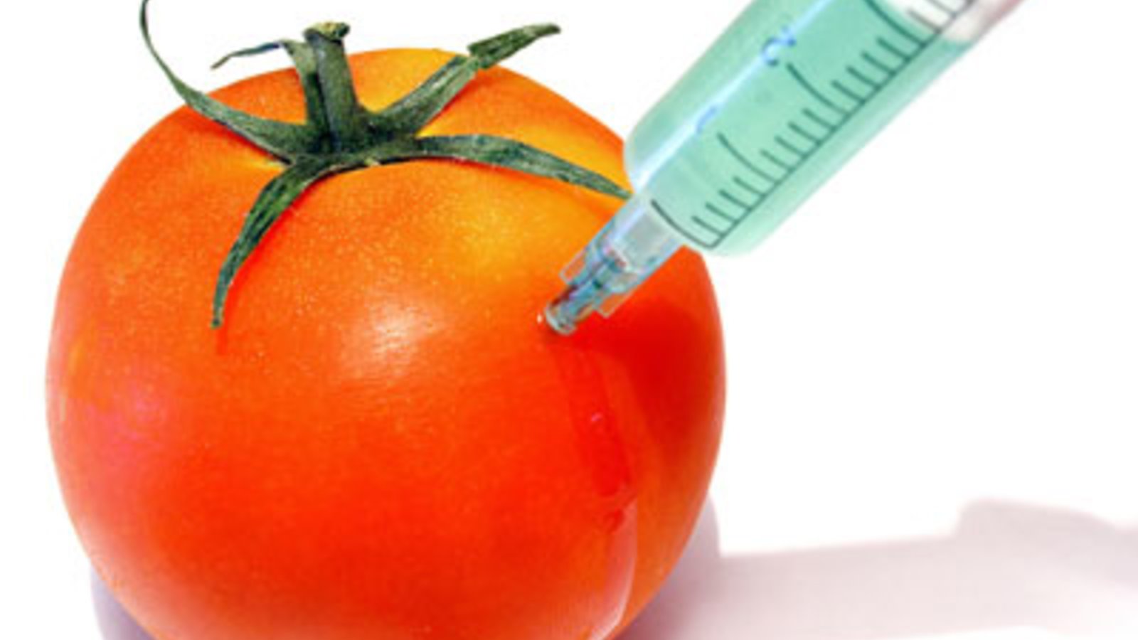 gmo_tomato__451868_cut.jpg