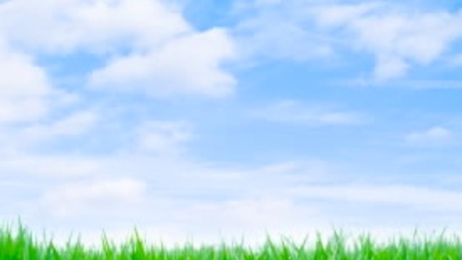 green-grass-blue-sky.jpg