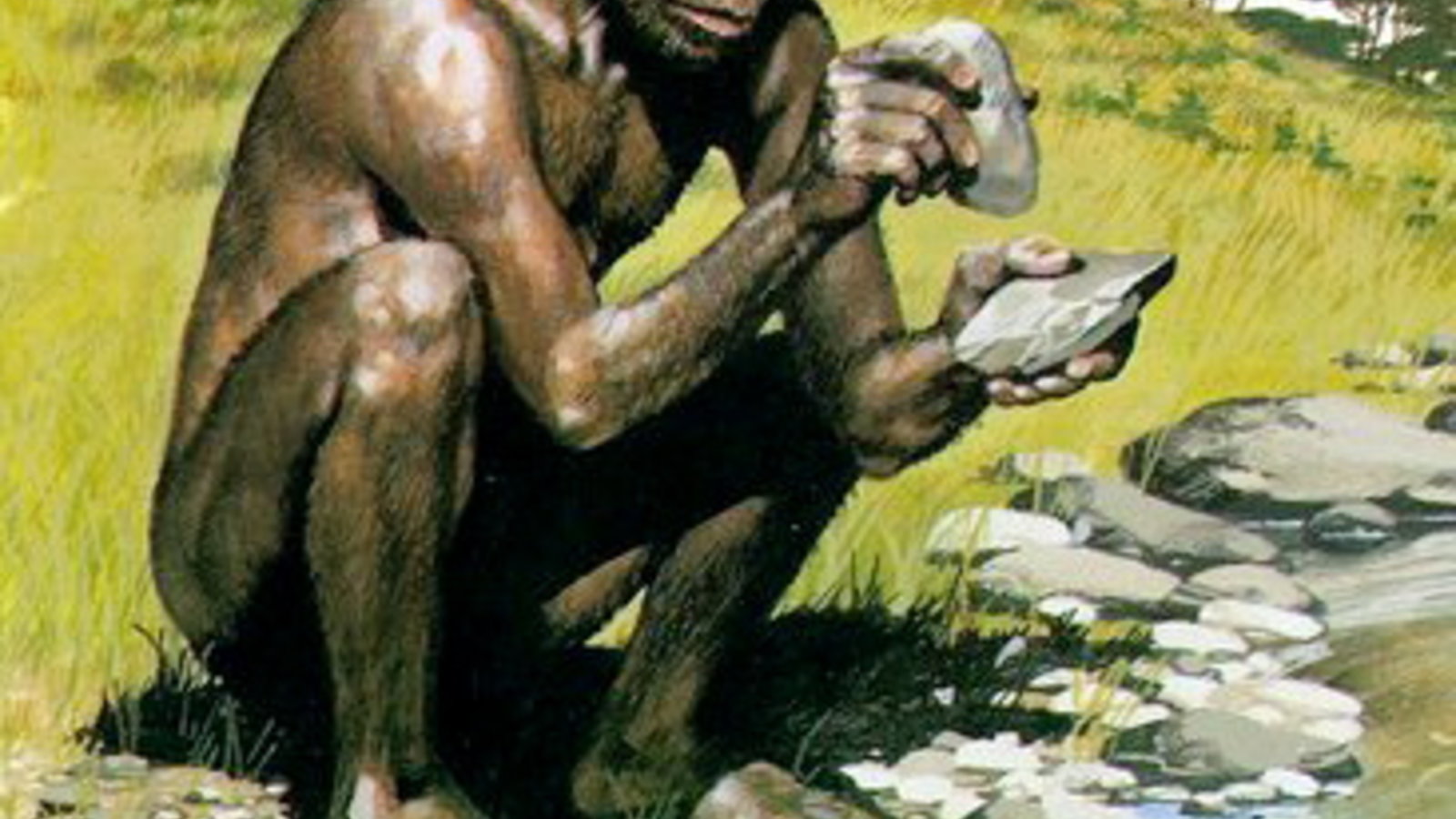 homohabilistoolmaking.jpg