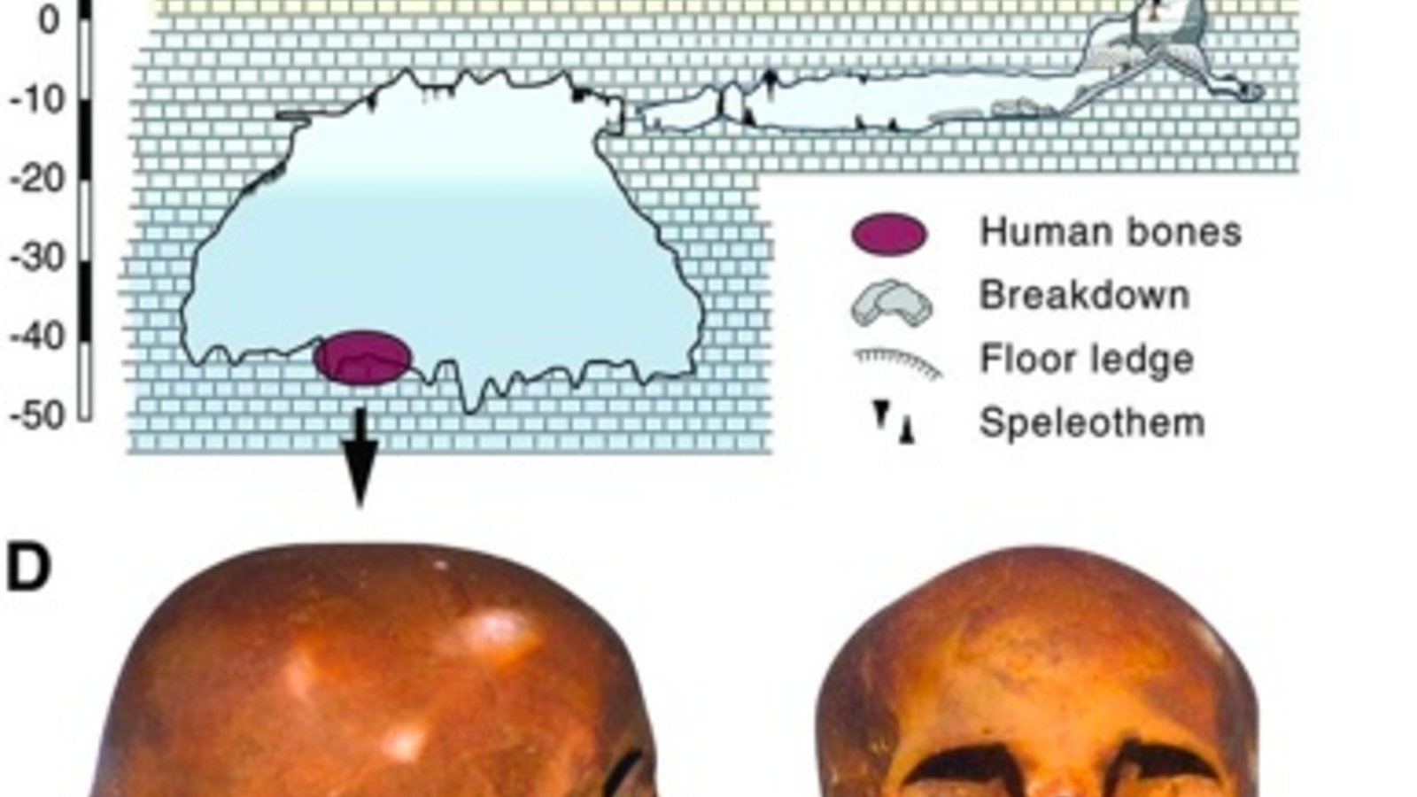 hoyonegro-science.jpg