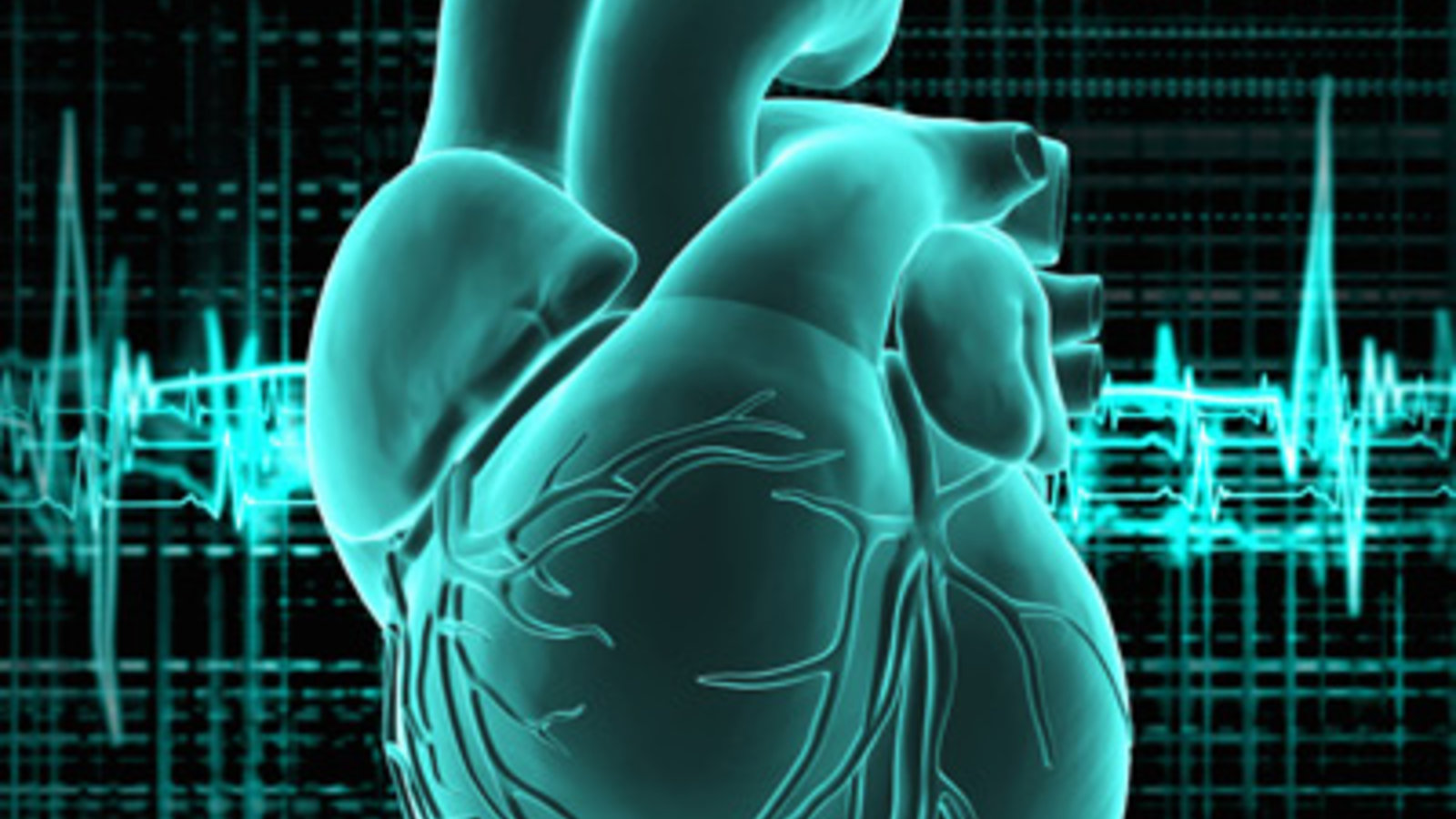 human-heart-400x540.jpg