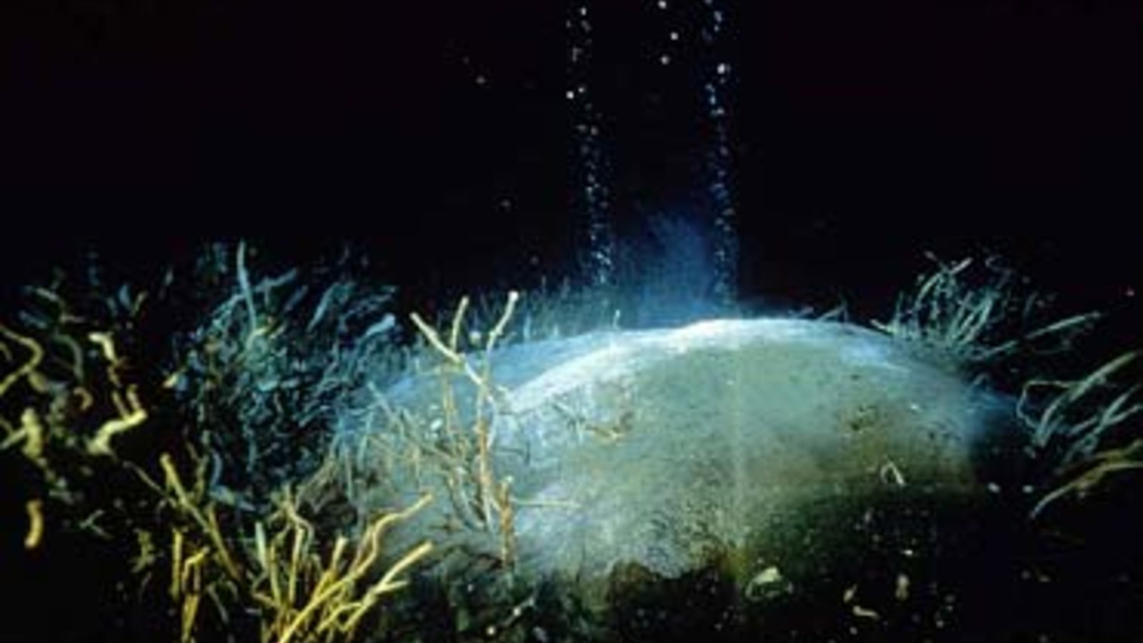 hydratedemethane_usgeologicalsurvey_wc.jpg