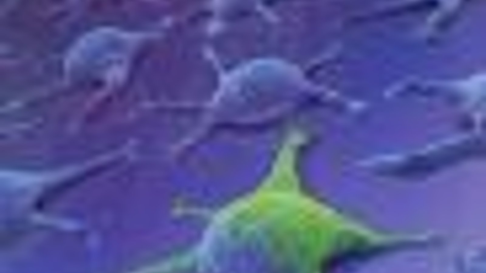images-6.jpeg