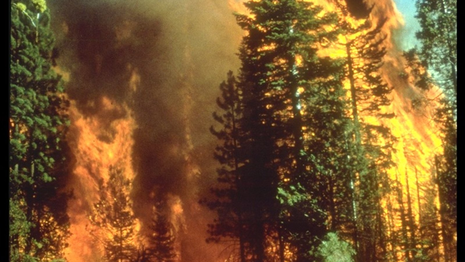 incendie_californie_bureauoflandmanagement_wc.jpg