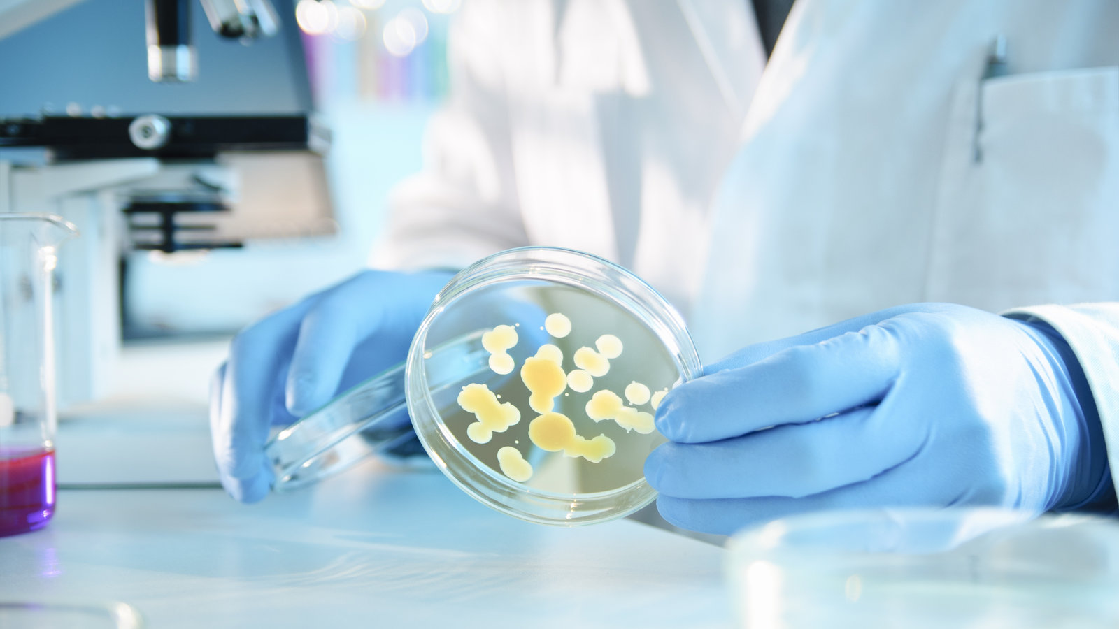 Reconna tre Et Encadrer La Microbiologie Agence Science Presse Reconna tre Et Encadrer La Microbiologie Agence Science Presse