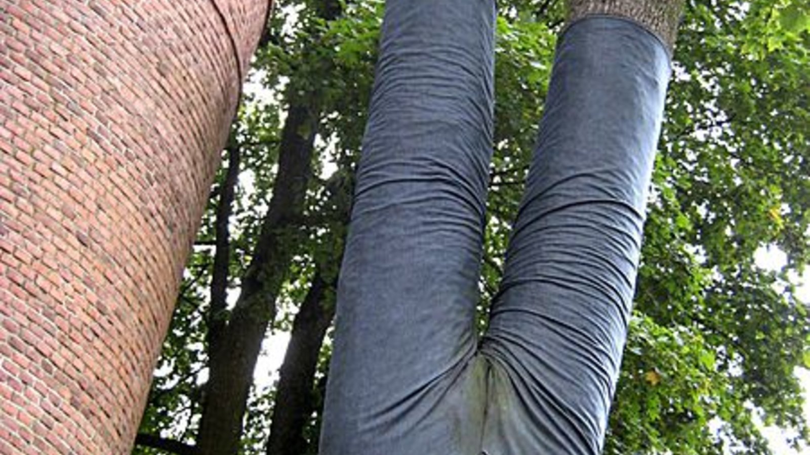 jeans_arbre_bjornwireen_wc.jpg