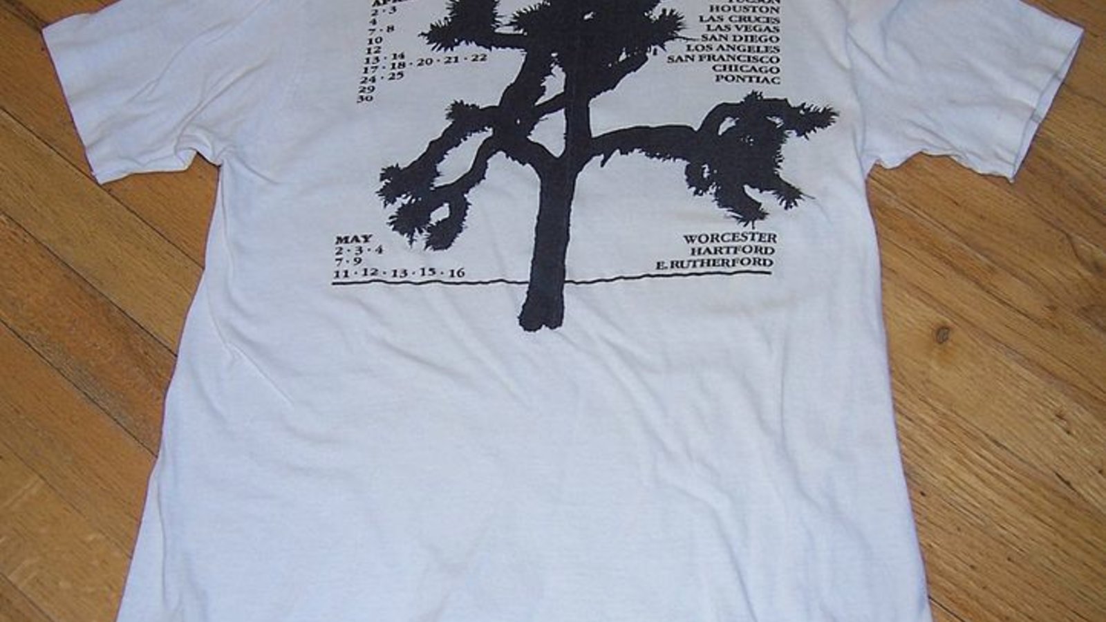 joshuatree_tshirt_wc.jpg