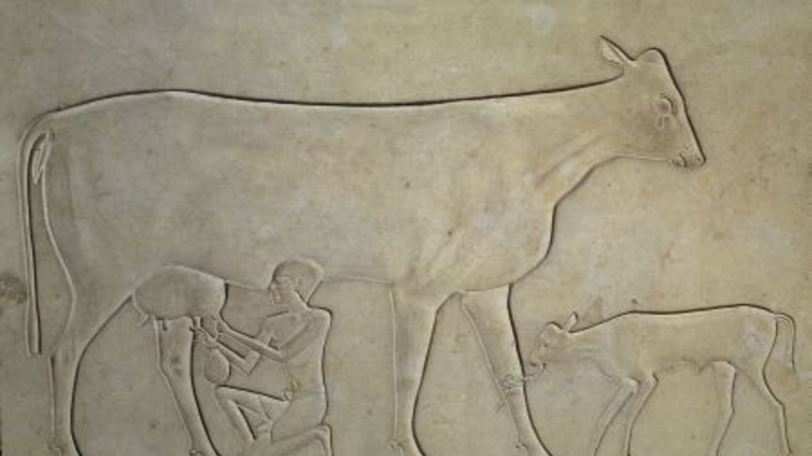 lait_450_HR.jpg