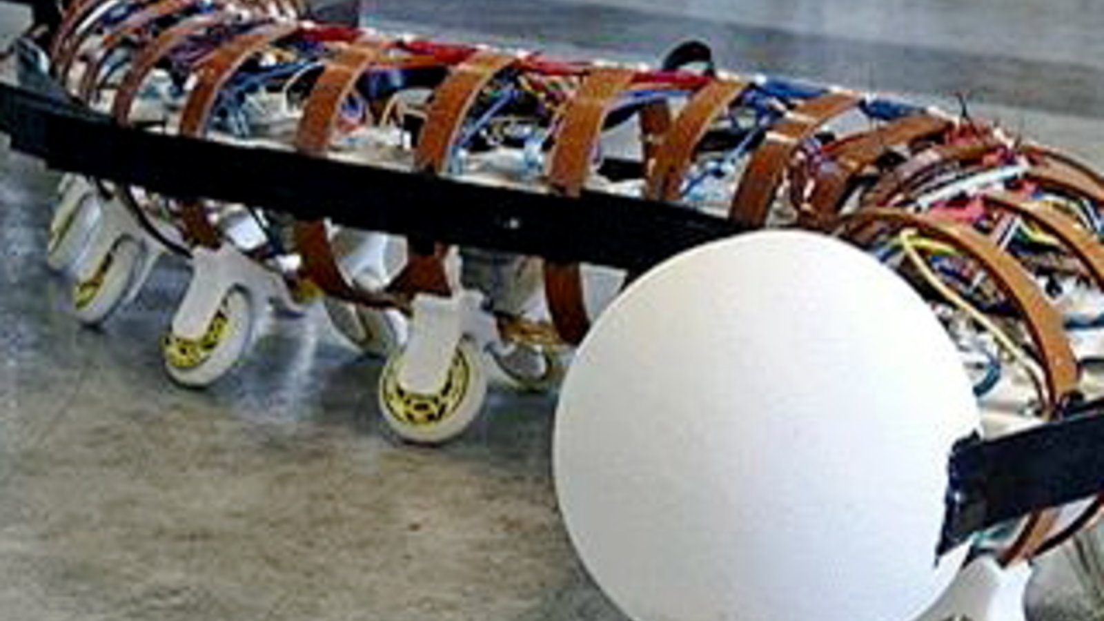leeds-university-robotic-worm.jpg