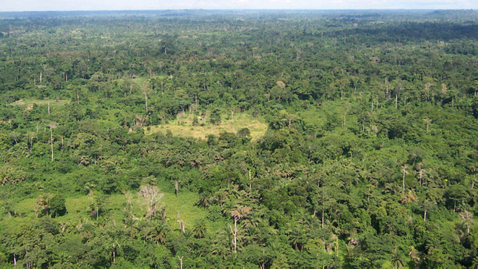 liberia_tropical_forest_usaid_wikicom.jpg