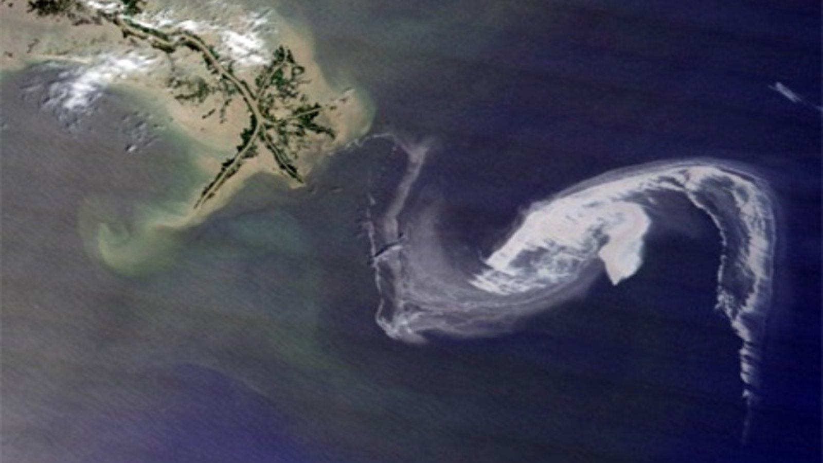 mareenoire-Louisiane-29avril2010.jpg