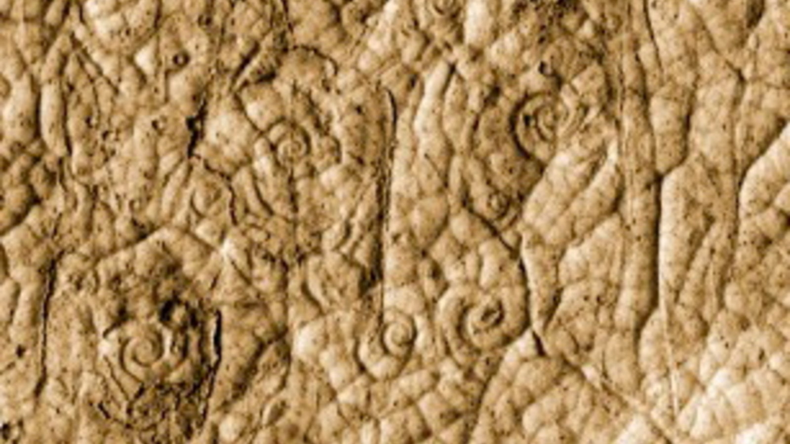 mars-lava-coils.jpeg-460x307.jpg