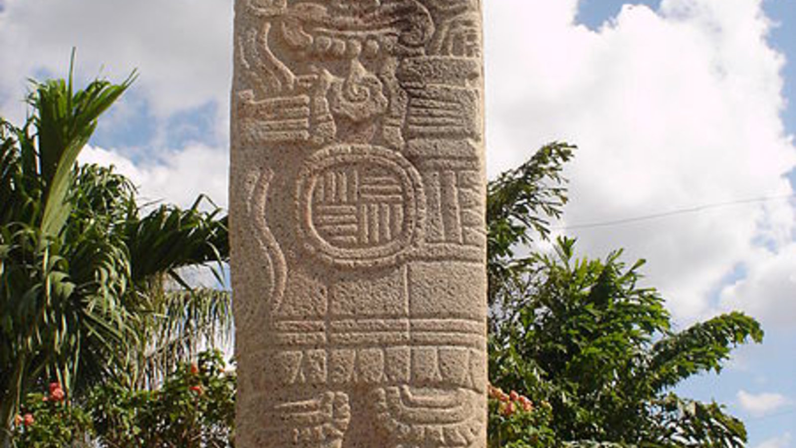 maya_strongilocentrotus_wc.jpg
