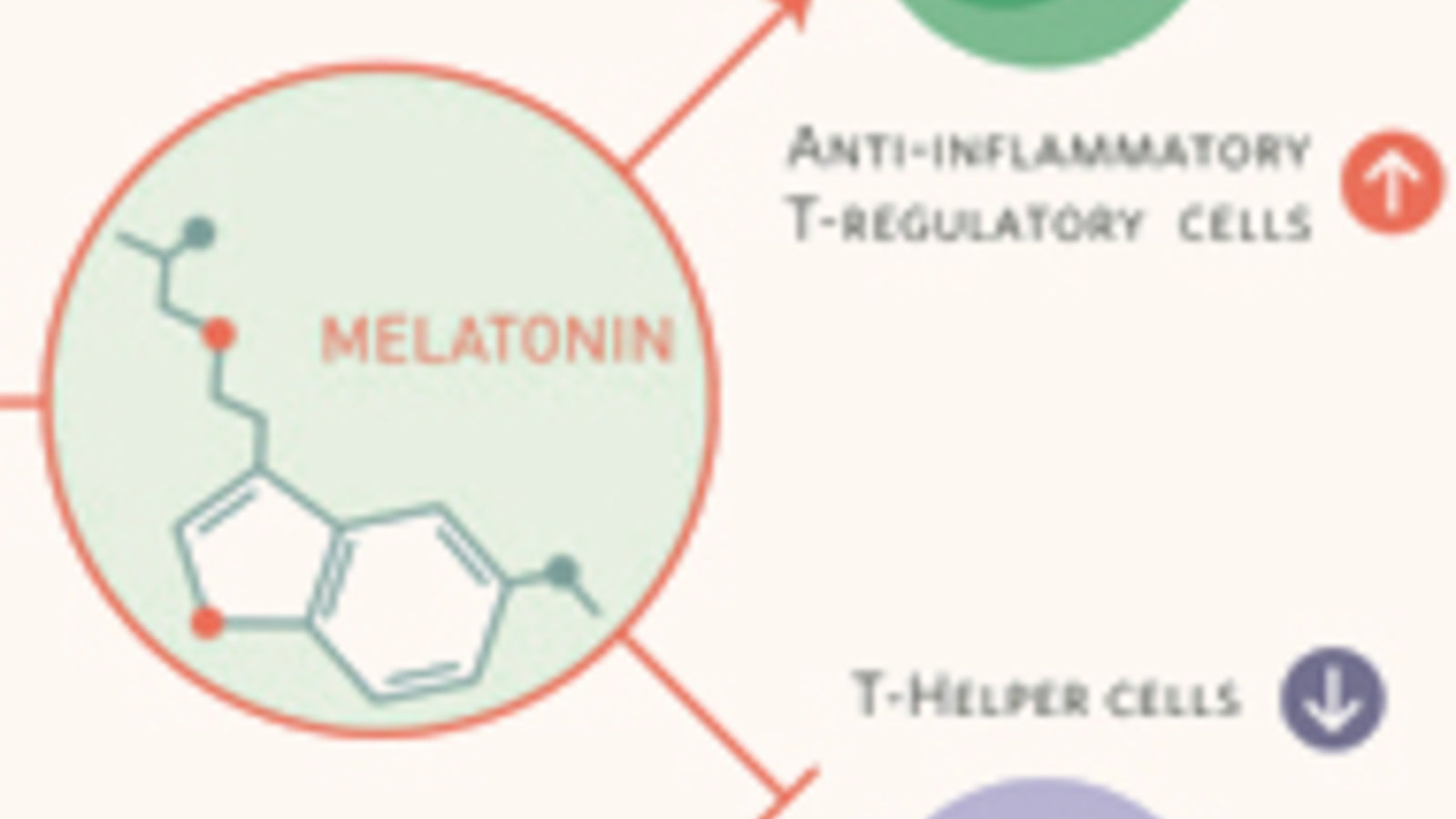 melatonine.jpg