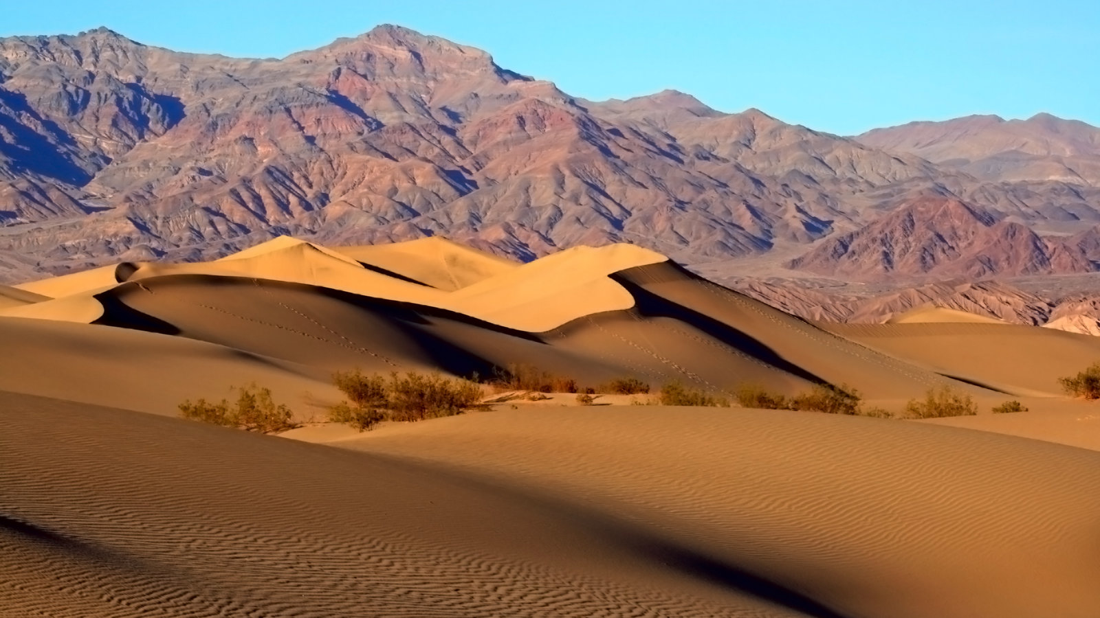 mesquite_sand_dunes_in_death_valley.jpg