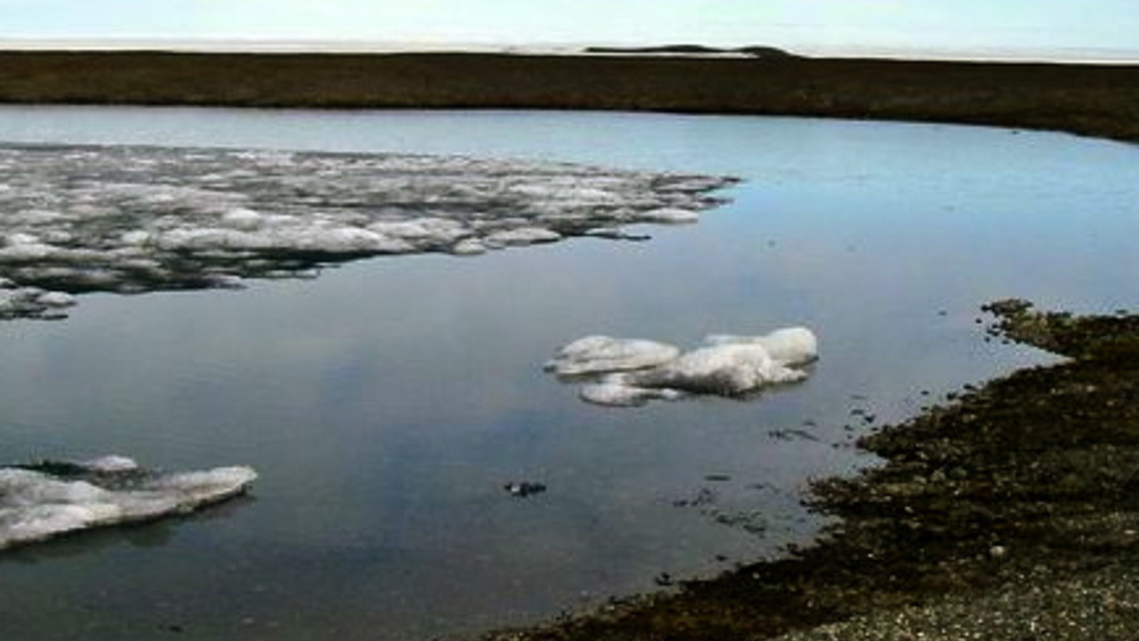 northern-most-lake-greenland-alive-again-landscape_60292_600x450.jpg