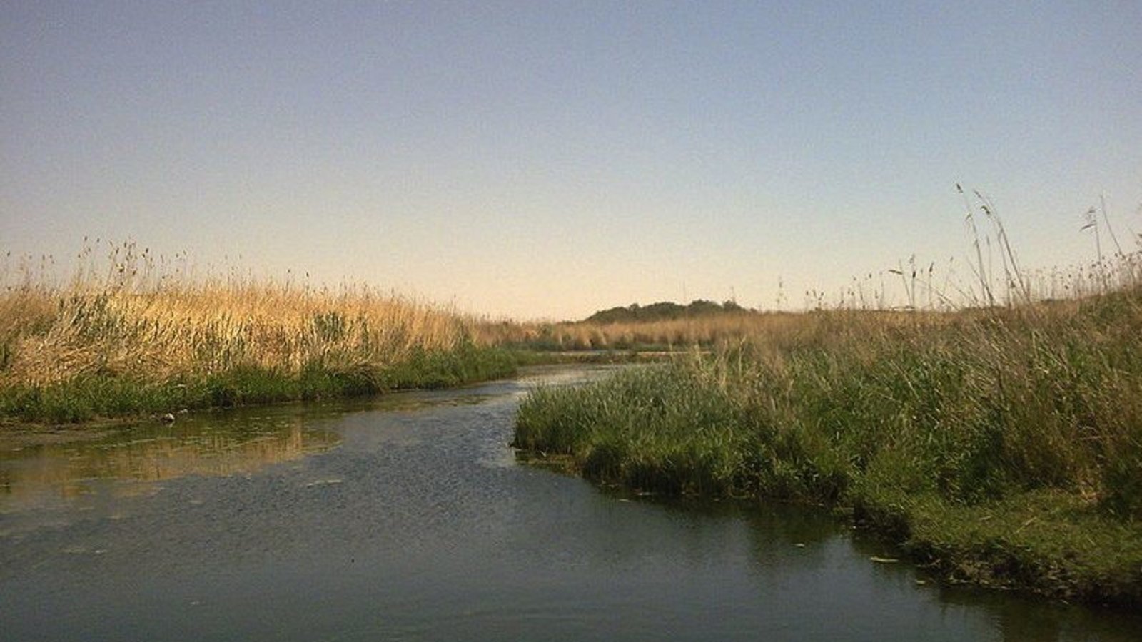 oasis-azraq-jordanie.jpg