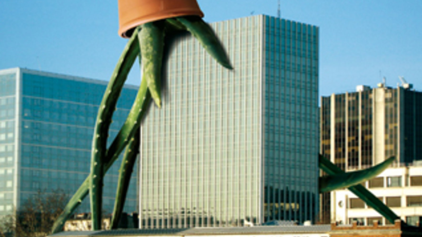 ogm.jpg