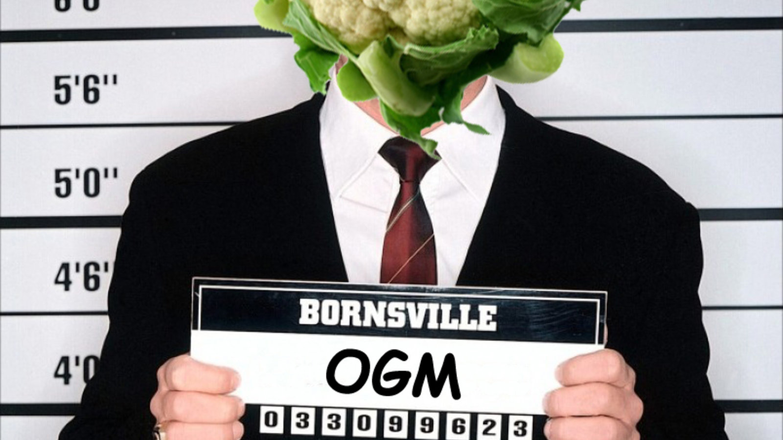 ogm2.jpg