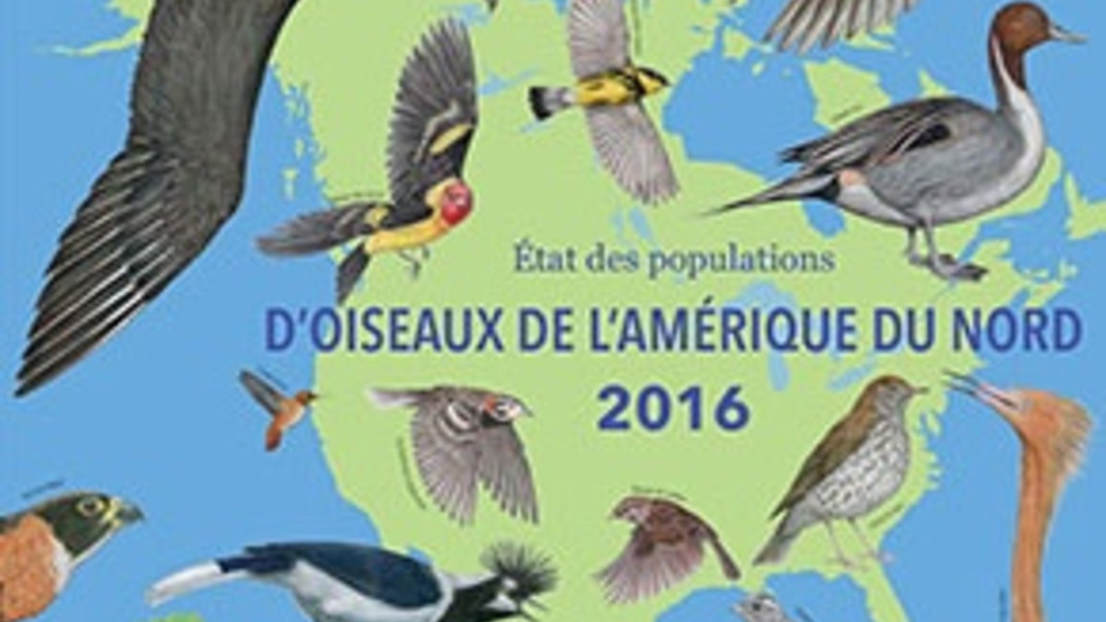 oiseaux-amerique-rapport2016.jpg