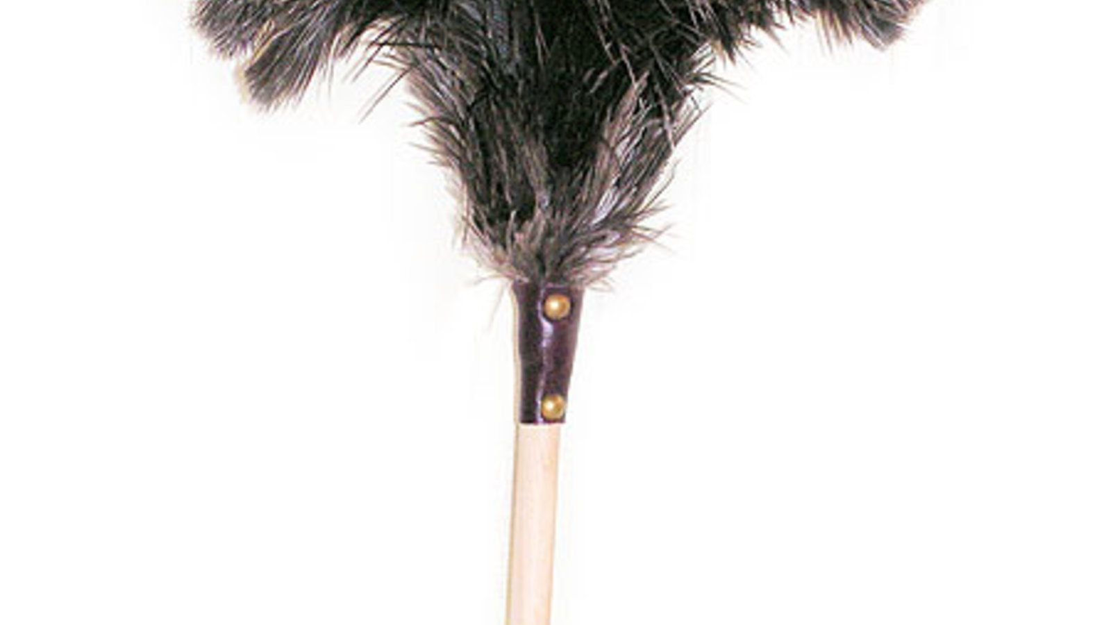 ostrichfeatherduster.jpg