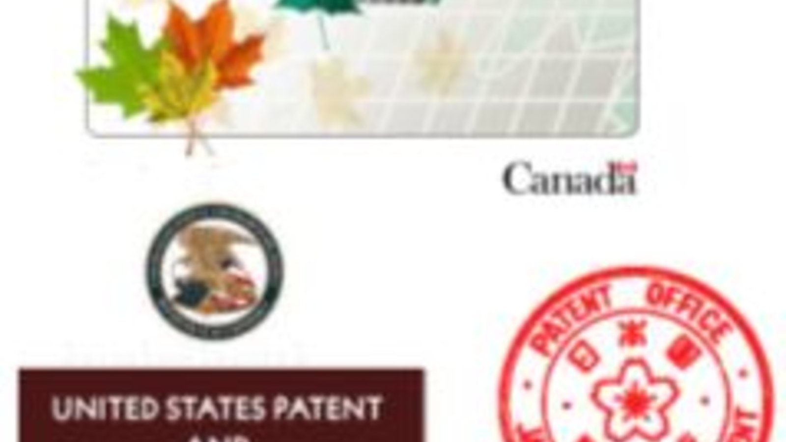 patents.JPG