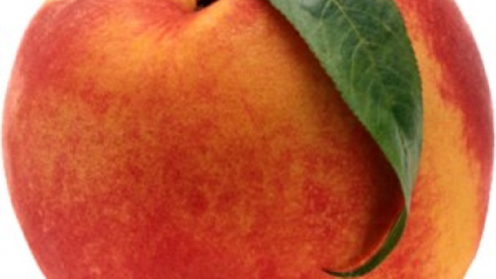 peach-300x296.jpg