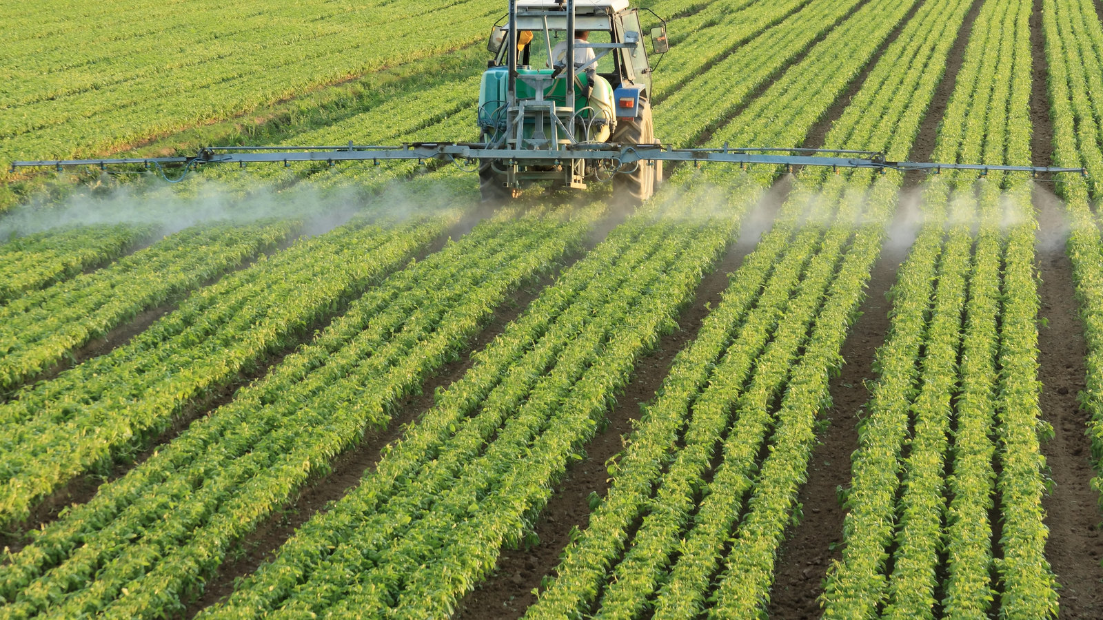 pesticide-spraying.jpg