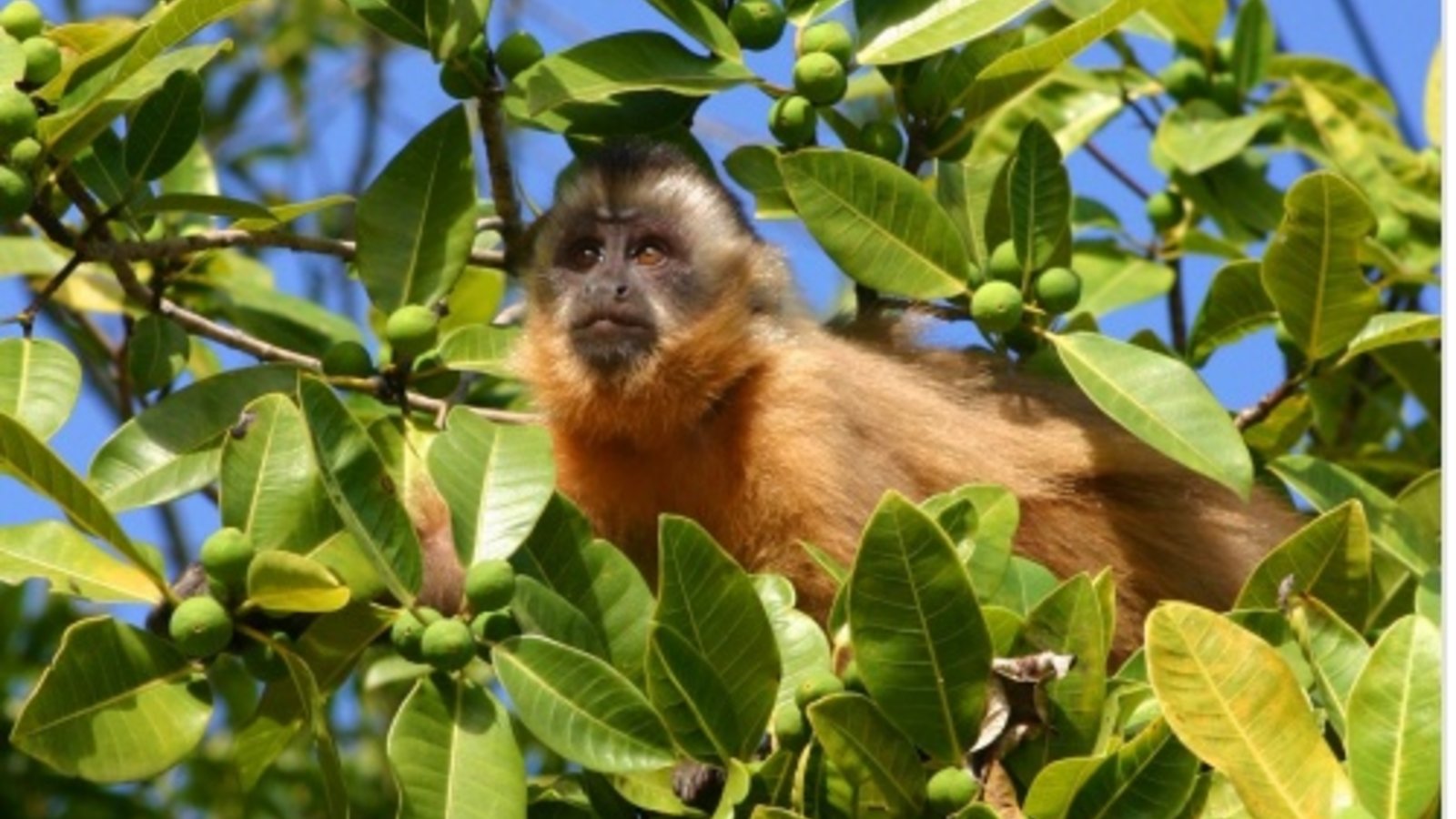 photo-libre.fr-rz-39.jpg