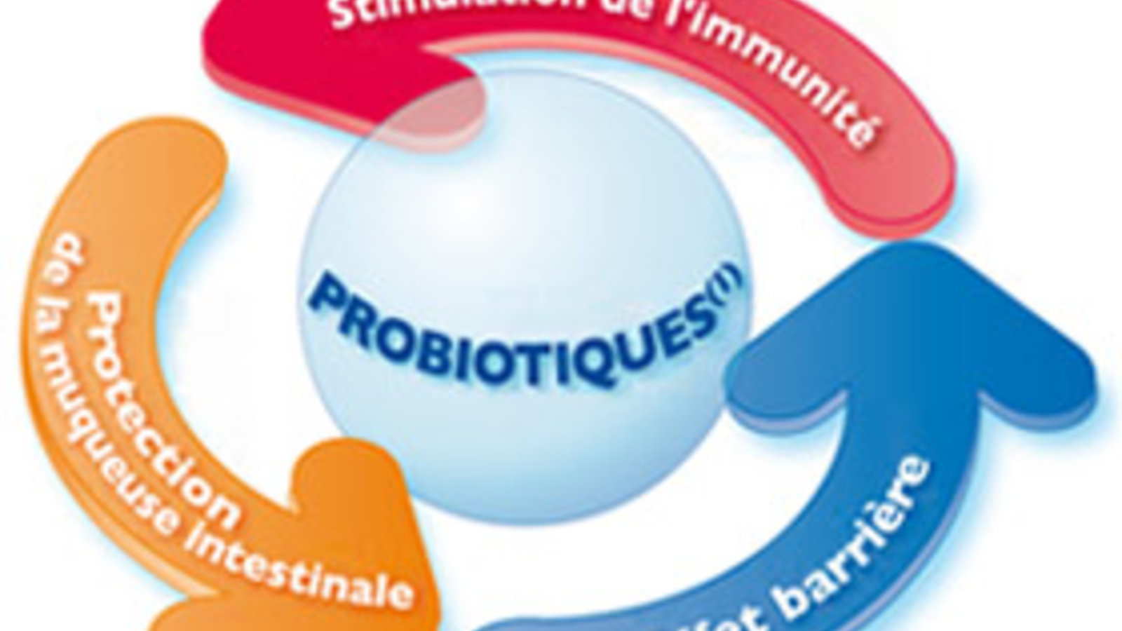 probiotiques-action.jpg