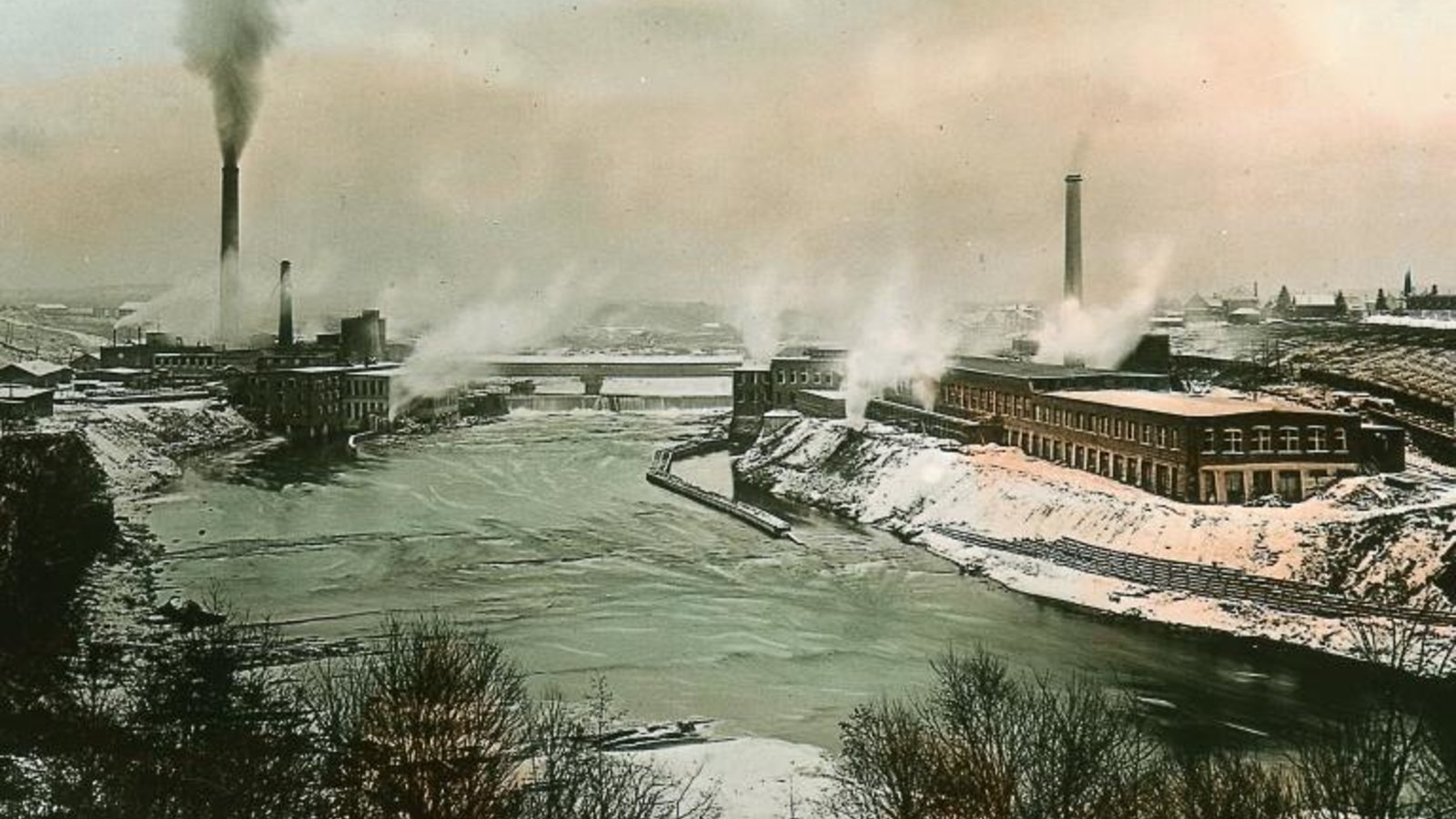 pulp__paper_company_wc.jpg