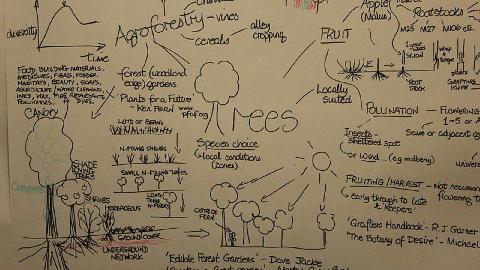 schema_agroforesterie_wc.jpg
