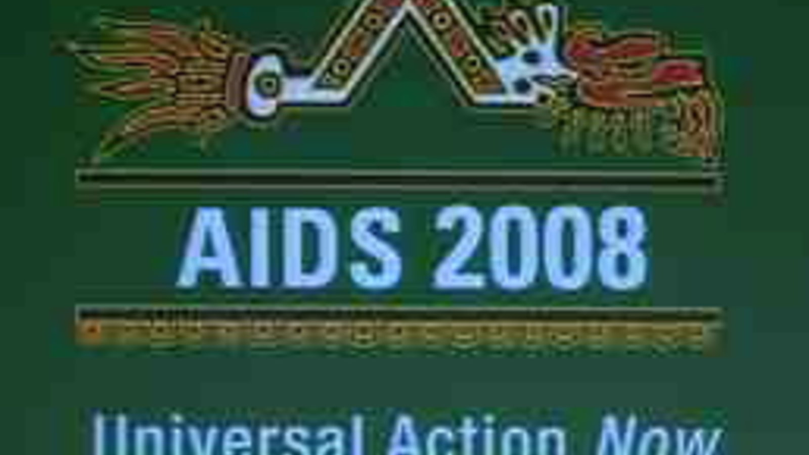 sida-conference2008.jpg