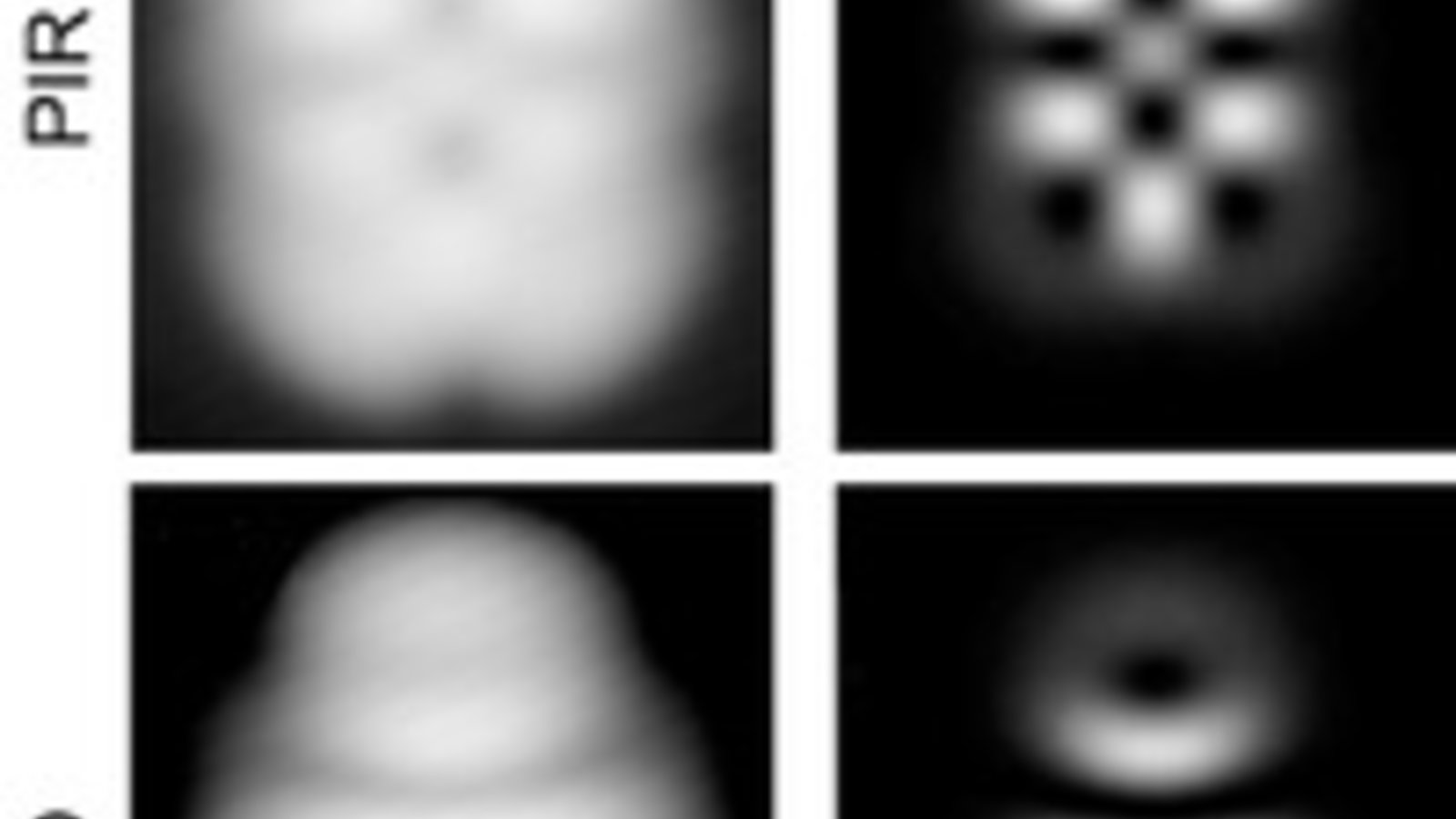 sn-quantums-thumb-200xauto-10856.jpg