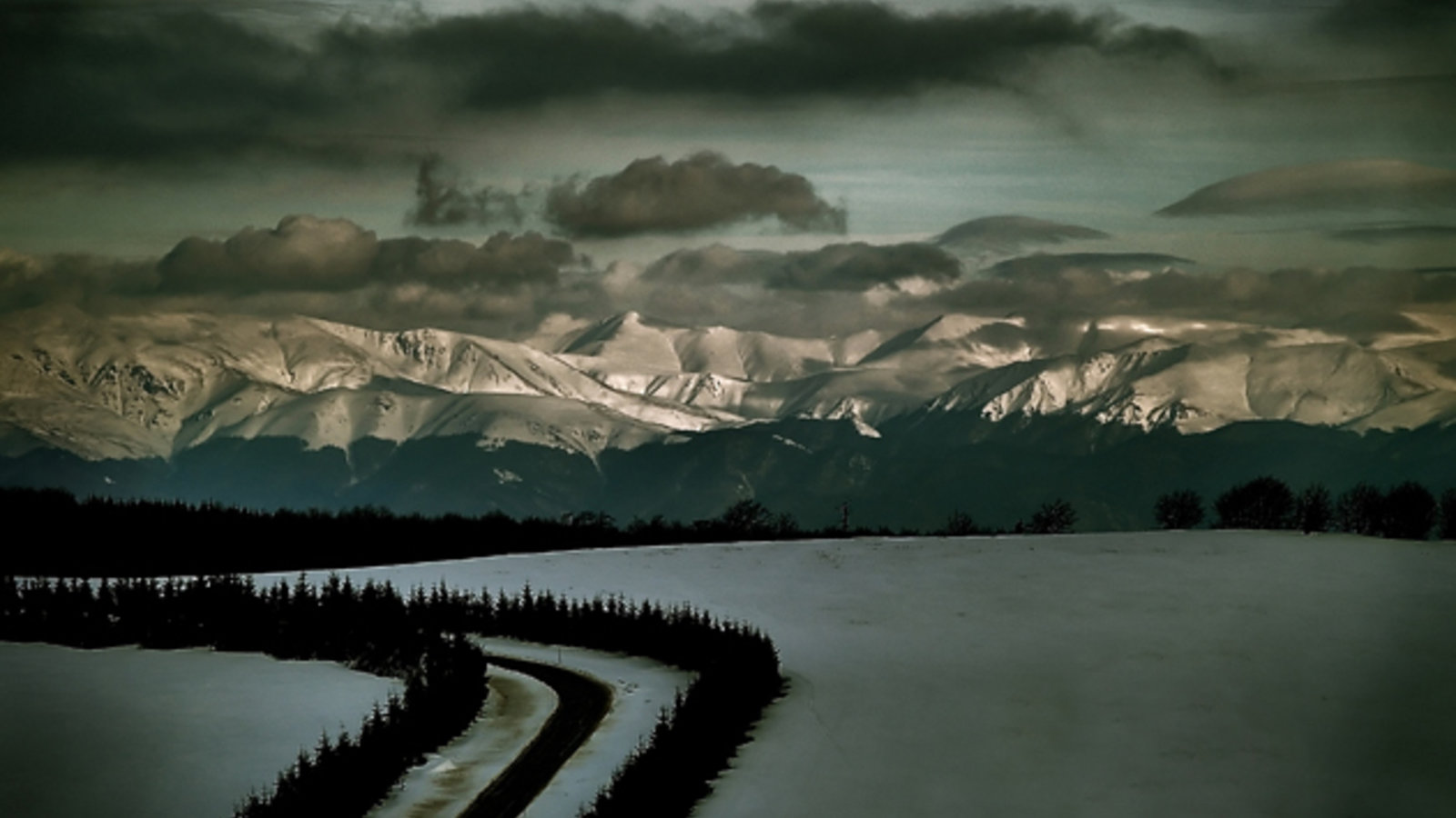 snowy_forest_romania_wc.jpg