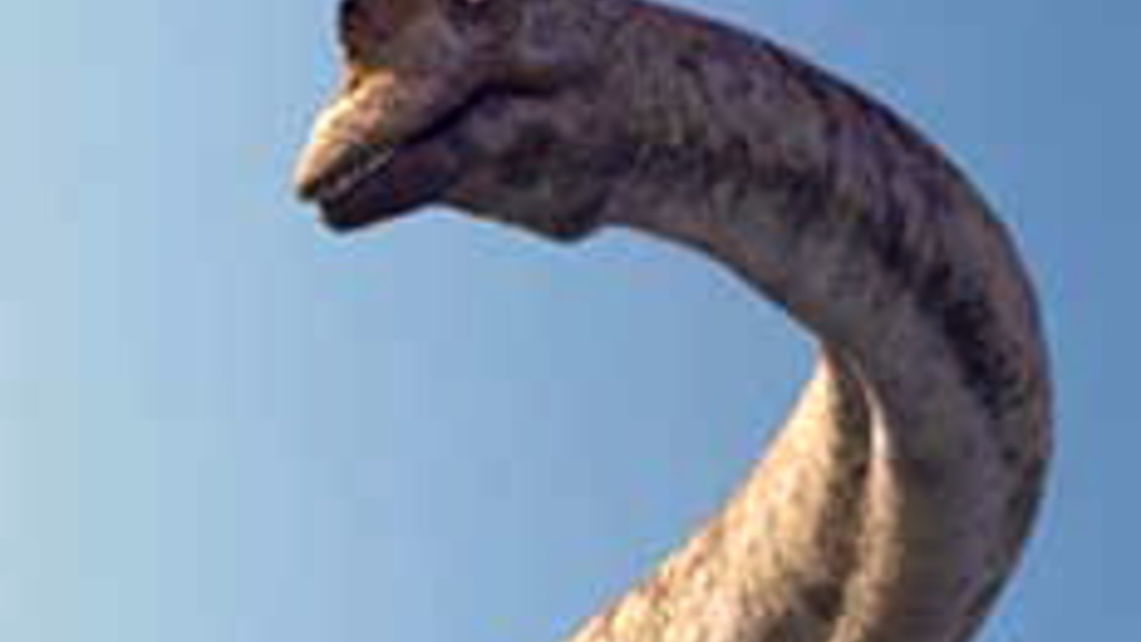 titanosaure_bbc.jpg