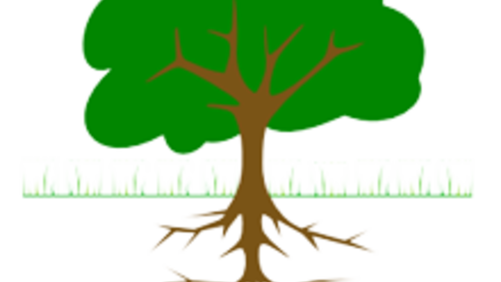 tree_branches_and_roots_02.png