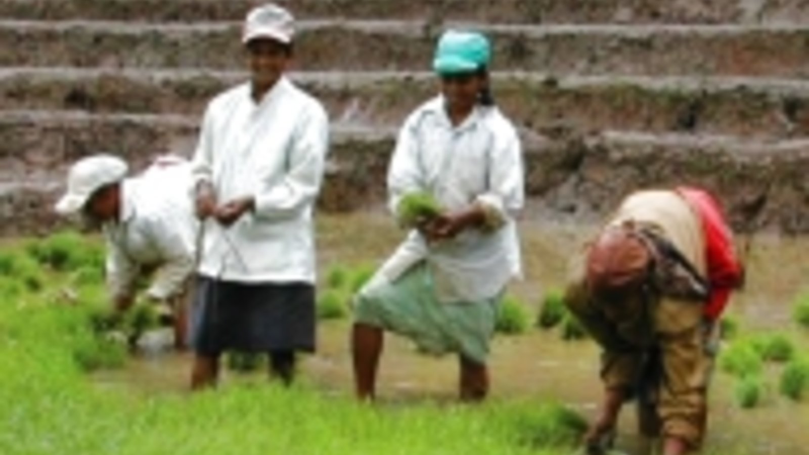 ufondet-african-farmers-190.jpg